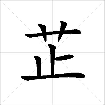 芷名字